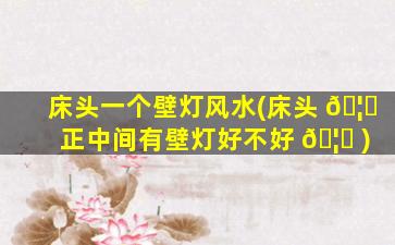 床头一个壁灯风水(床头 🦟 正中间有壁灯好不好 🦉 )